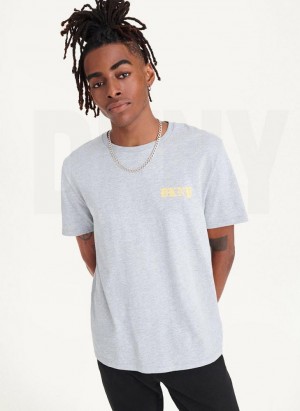 Light Grey DKNY Don't Knock New York Men's T Shirts | Malaysia_D0359