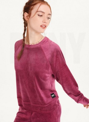 Purple DKNY Platinum Velour Pullover Women's Sweatshirts | Malaysia_D0297